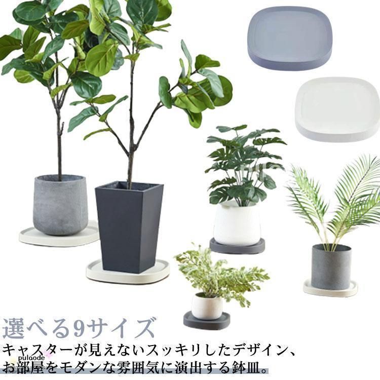 Bogner Harlow v1 限定モデル Bogner Harlow 限定モデル