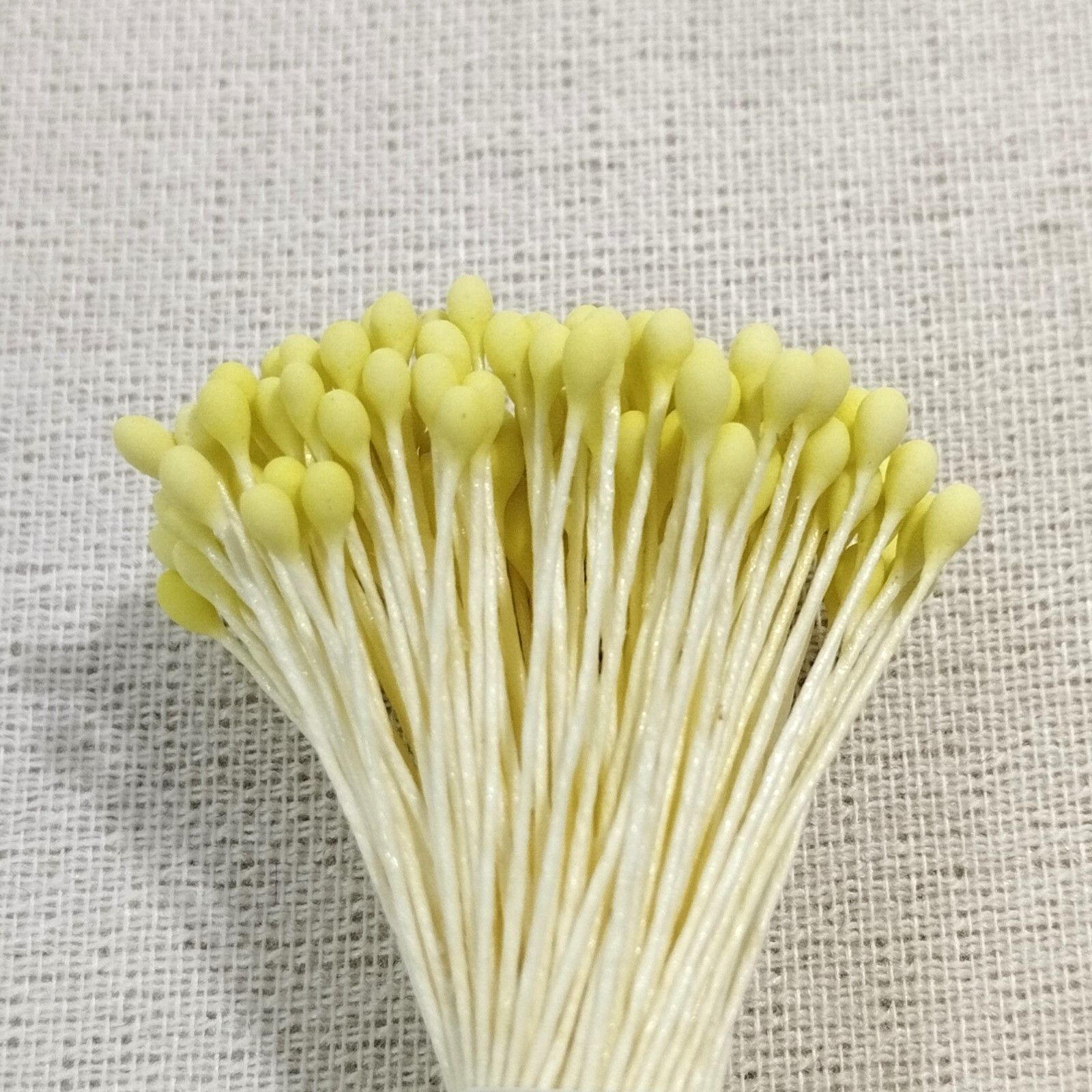 のサムネイル
