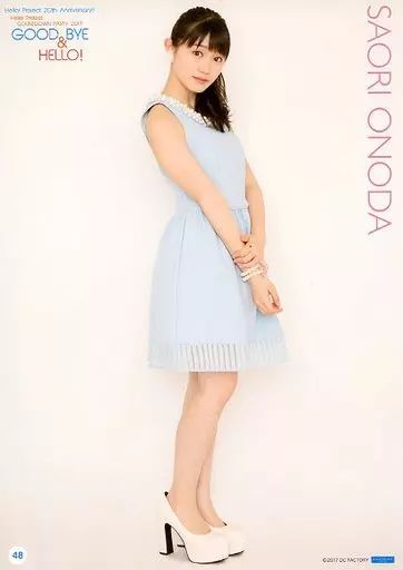 中古】ポスター(女性) コレクションピンナップポスター No.48 小野田紗