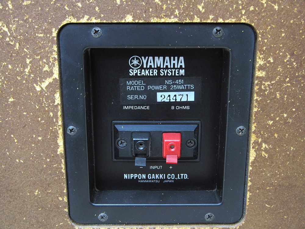 NS-451