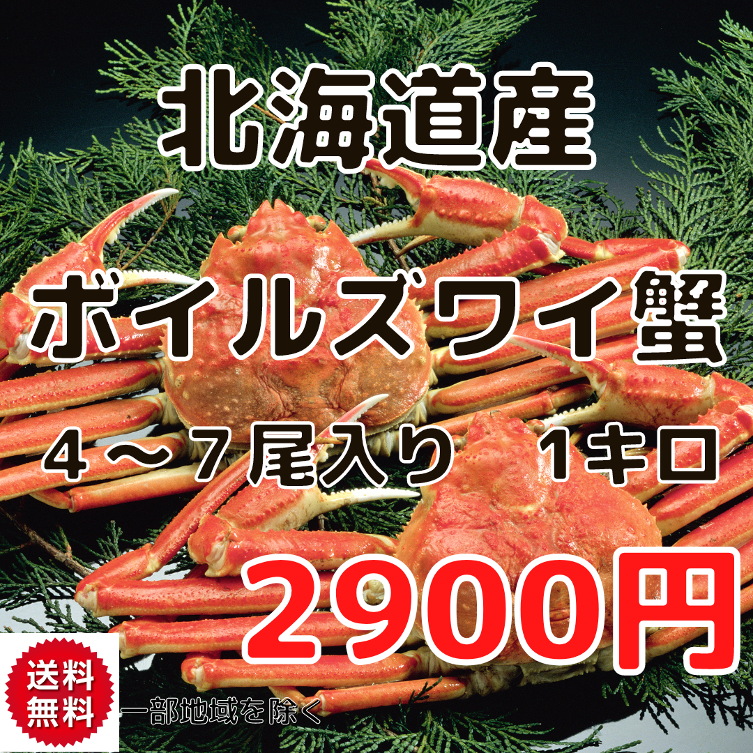 北海道産　ボイルズワイガニ　1キロ　およそ1〜8尾　蟹