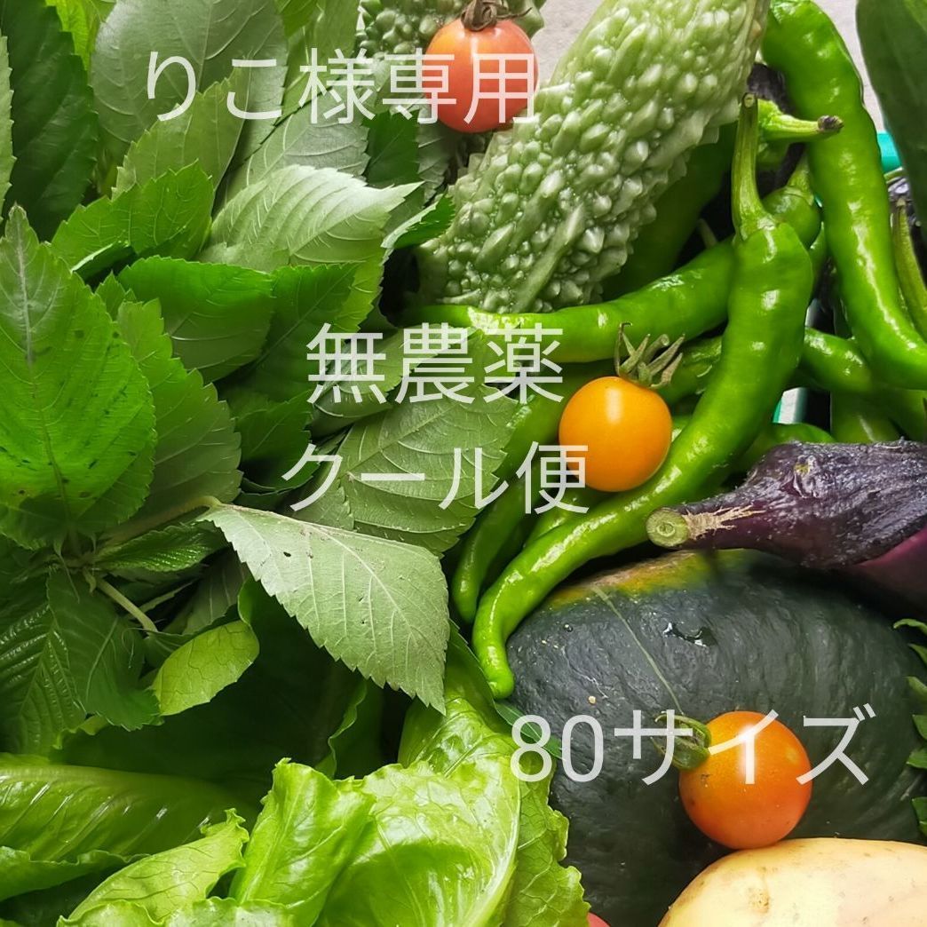 りこ様専用 採れたて！無農薬 お野菜お任せ詰め合わせ、80サイズクール