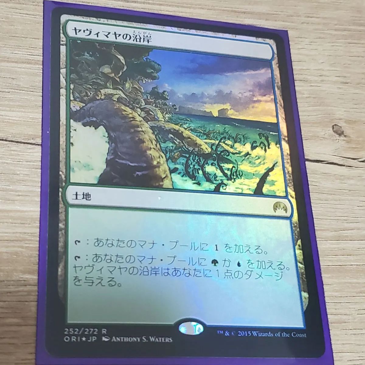 MTG ヤヴィマヤの沿岸 foil - ☆スピードスター☆トレカとおもちゃ専門