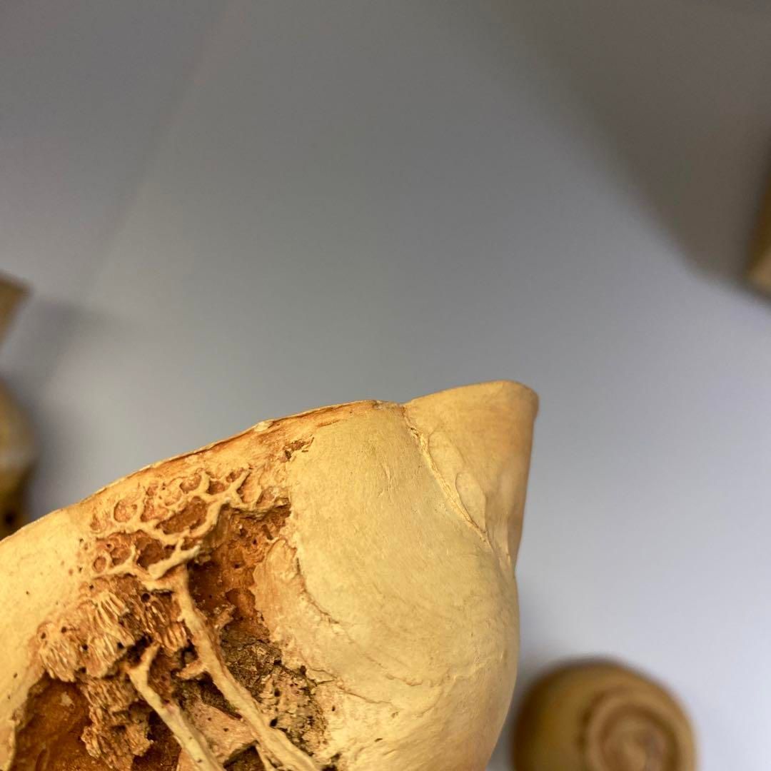 時代 二六焼 極上彫煎茶器セット 木箱付 東Y6-0813☆2Fチヒサコ - メルカリ