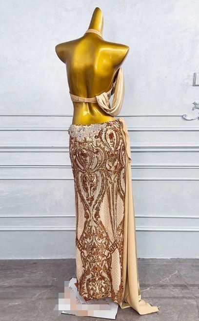 ベリーダンス衣装 トップスブラ スカート ゴールド オーダーメイド