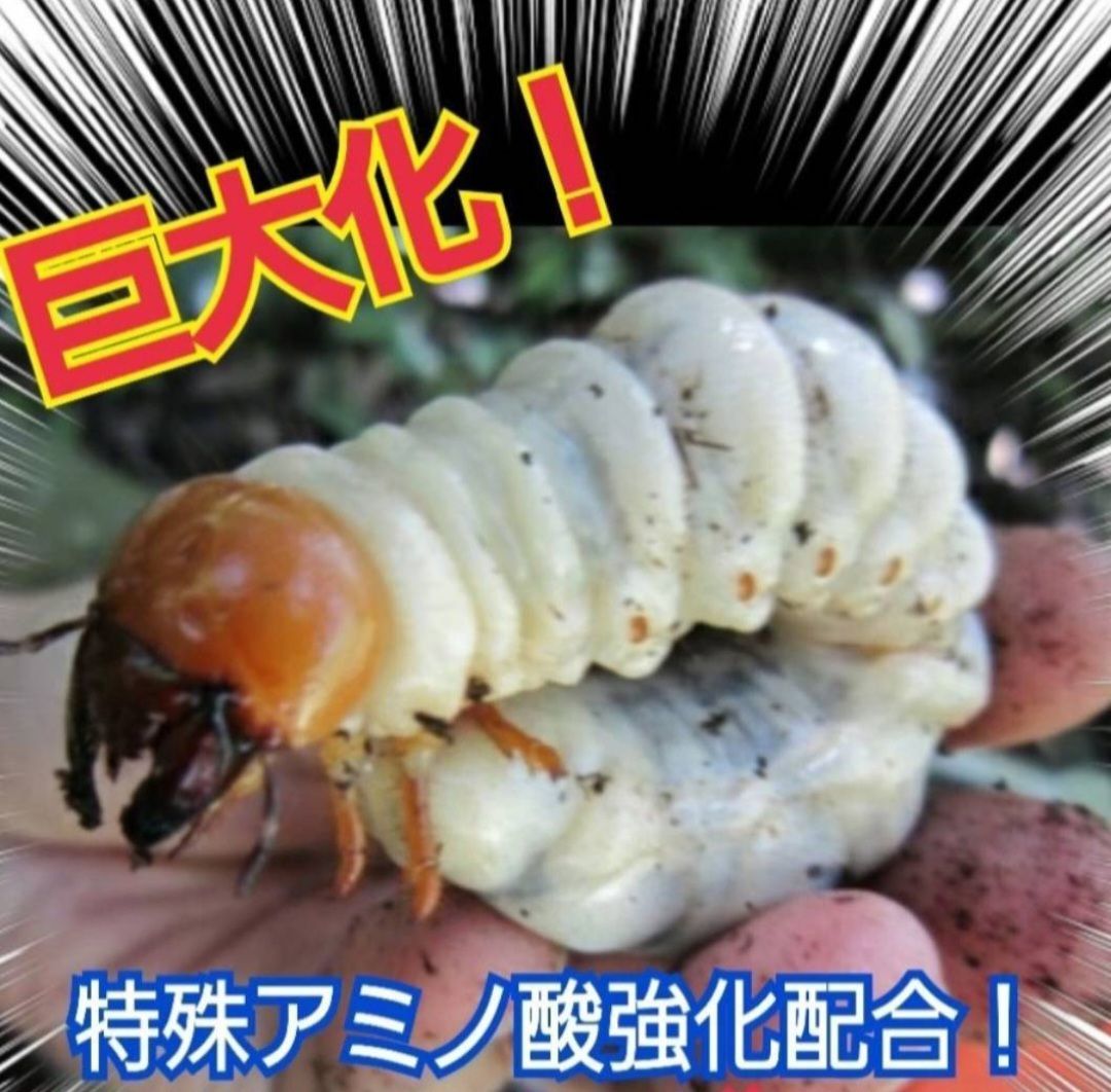 ノコギリ