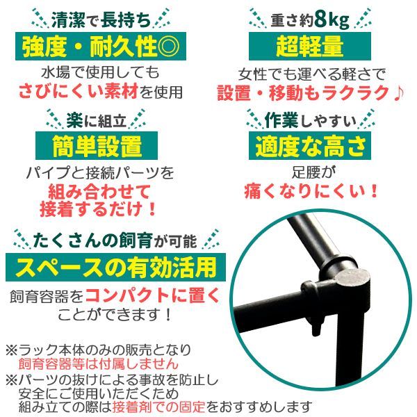 ビオトープ ゾウリムシ