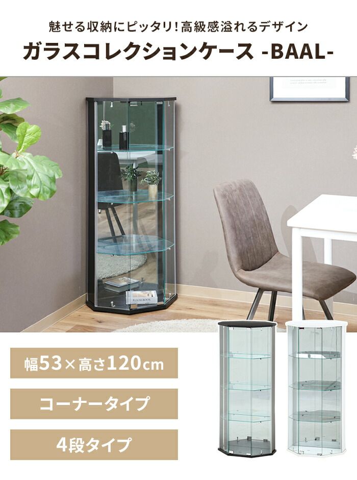 背面ミラー付き 幅52