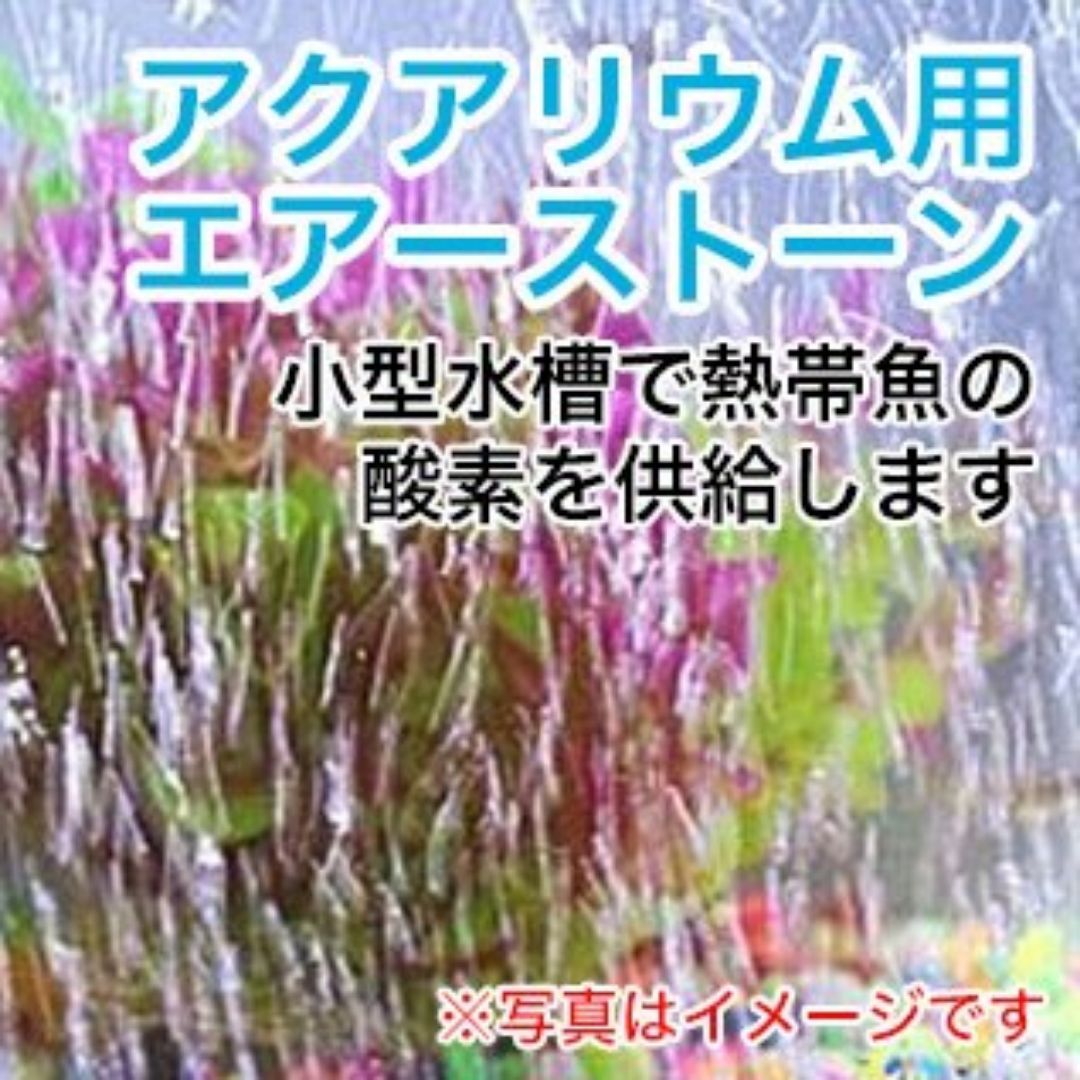 エアーストーン ぶくぶく 酸素ポンプ 円柱形 メダカ 金魚 水槽 観賞魚