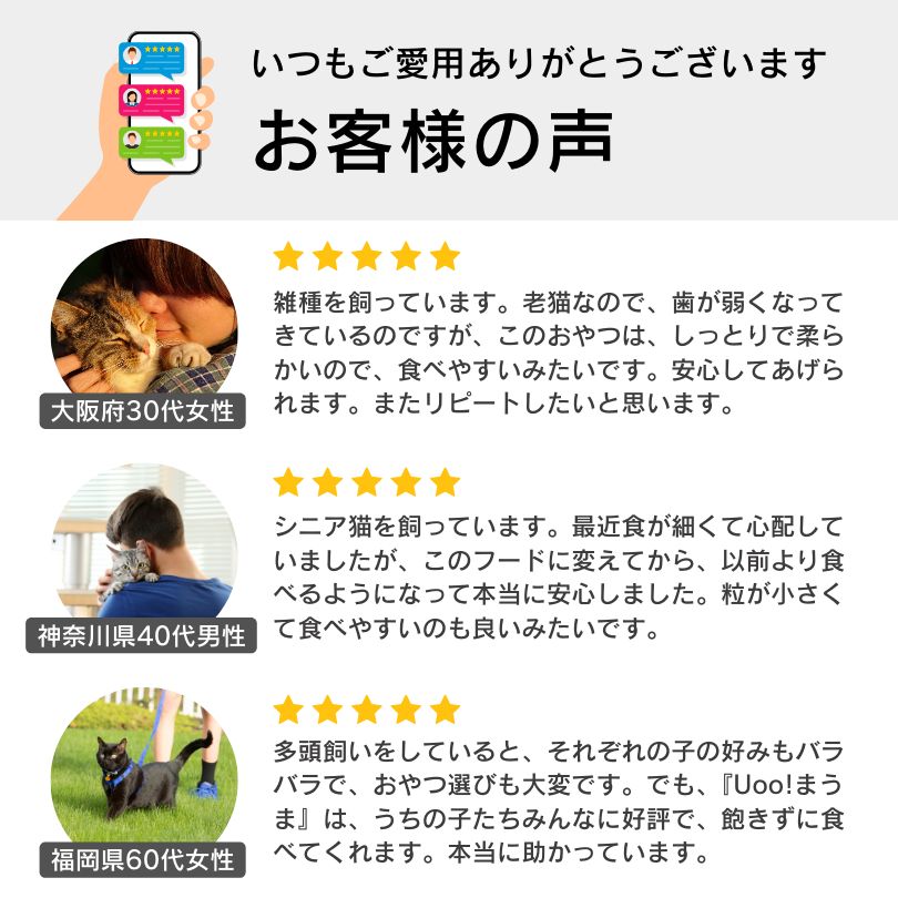 高齢猫 シニア猫