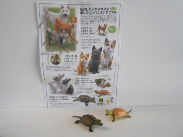 ♯Jqi15Et　カプセルQミュージアム日本のペット動物大全1全11種 Amazon.co.jp: Jqi15EtカプセルQミュージアム日本のペット動物