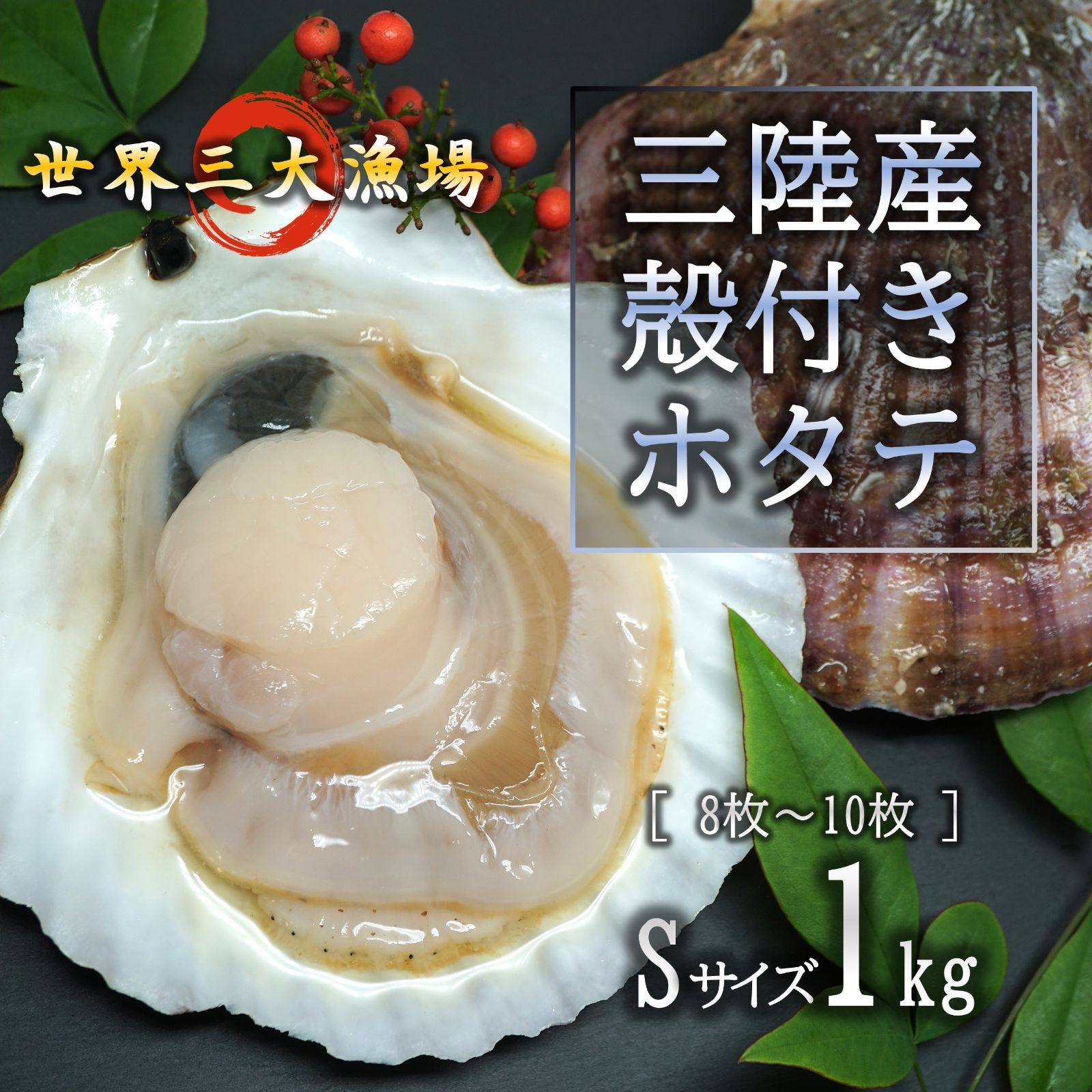 生食OK 三陸産 殻付きホタテ Sサイズ 1kg (8～10枚) 世界三大漁場 宮城 新鮮 濃厚な旨味 刺し身 殻焼き BBQ キャンプにも
