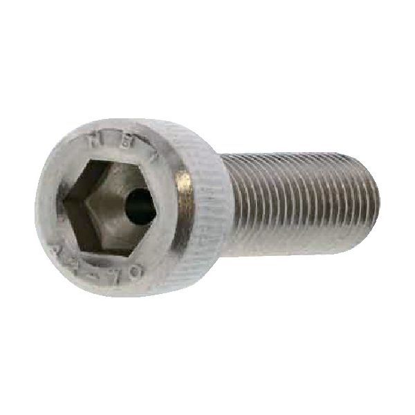 PSA9】未来日記 ヴィクトリースパーク 水着の由乃(村田知沙金箔押し