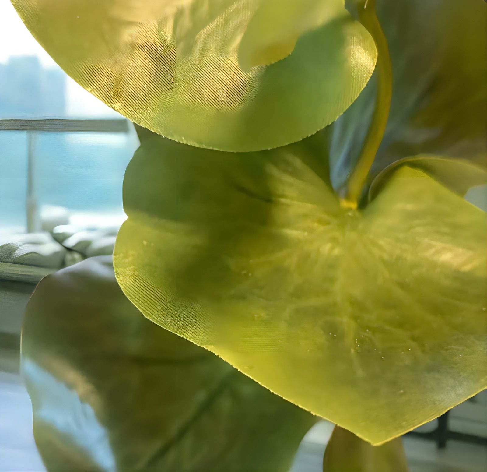 光触媒 人工観葉植物 ウォールグリーン フェイクグリーン スリムシー