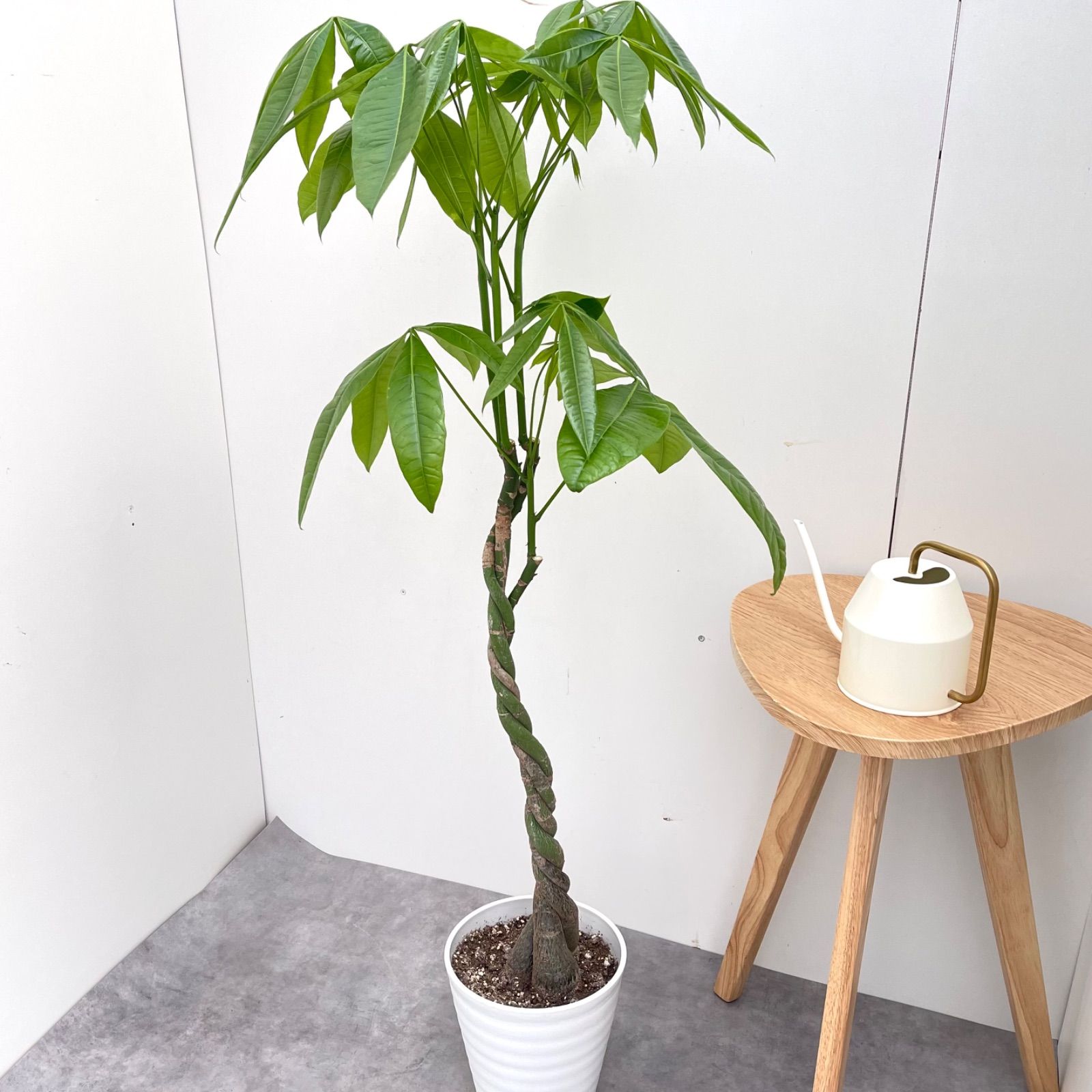 大型