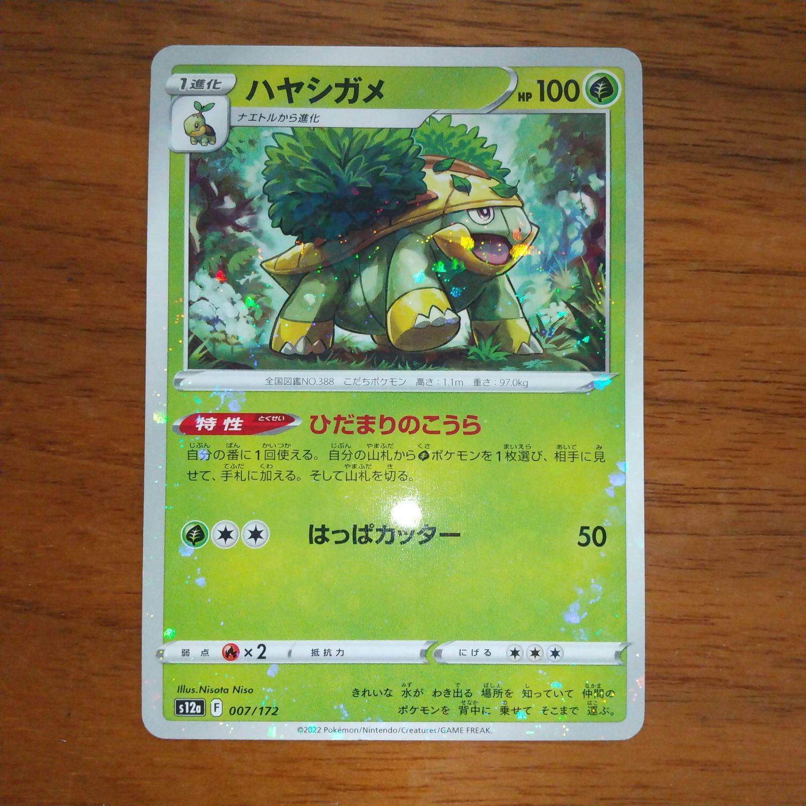 ポケモンカード ポケカ ハヤシガメ まとめ処分 1m - メルカリ