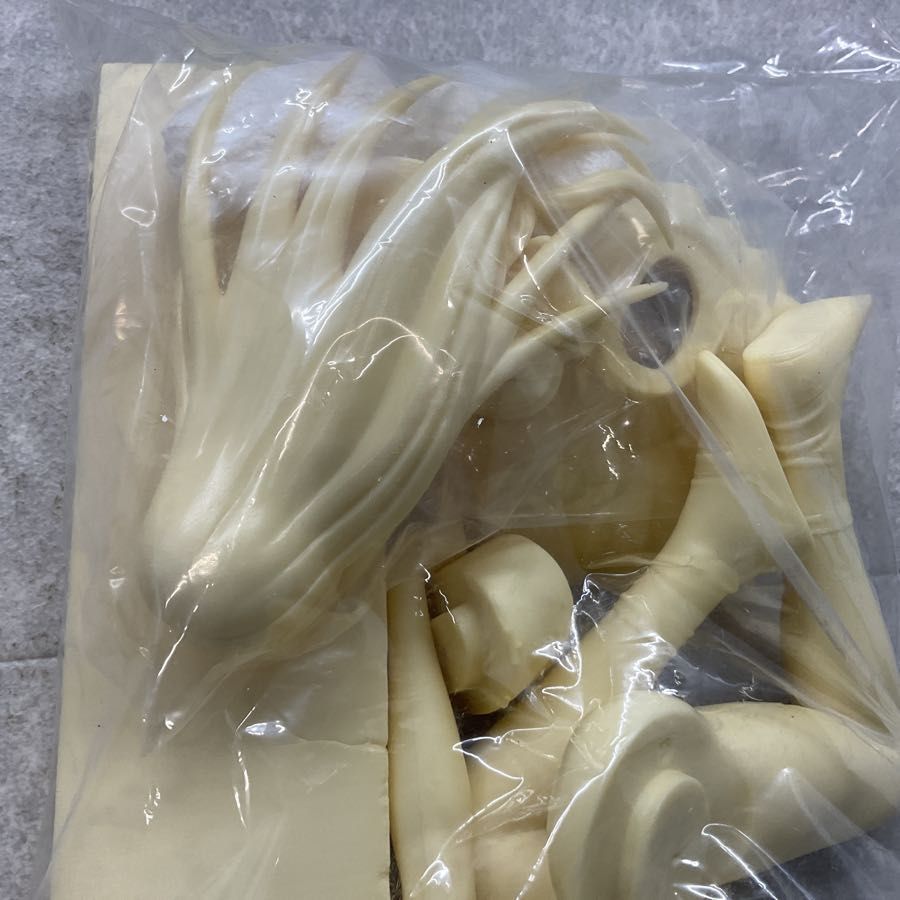 こぴくら コミケ 鬼ノ仁 活線挿抜 1/6 西田敦子 ガレージキット