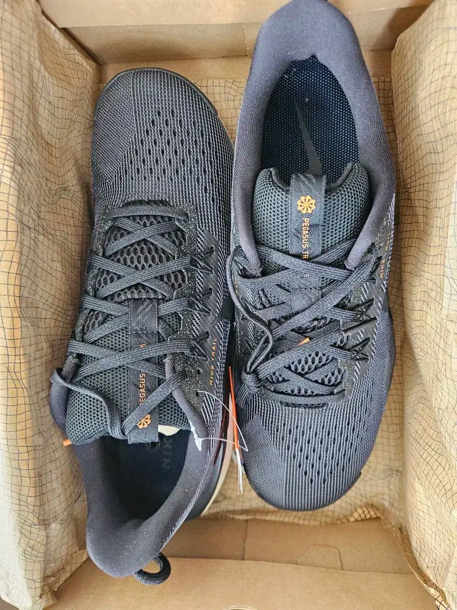 NIKE ナイキ ペガサス トレイル 5 290mm