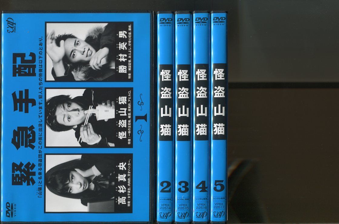 怪盗山猫　レンタル落ちdvd DVD 怪盗山猫 全5巻 亀梨和也 中村静香 ※ケース無し発送