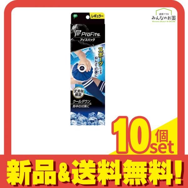 プロ フィッツ アイスバッグ 1個入 レギュラーサイズ 10個セット