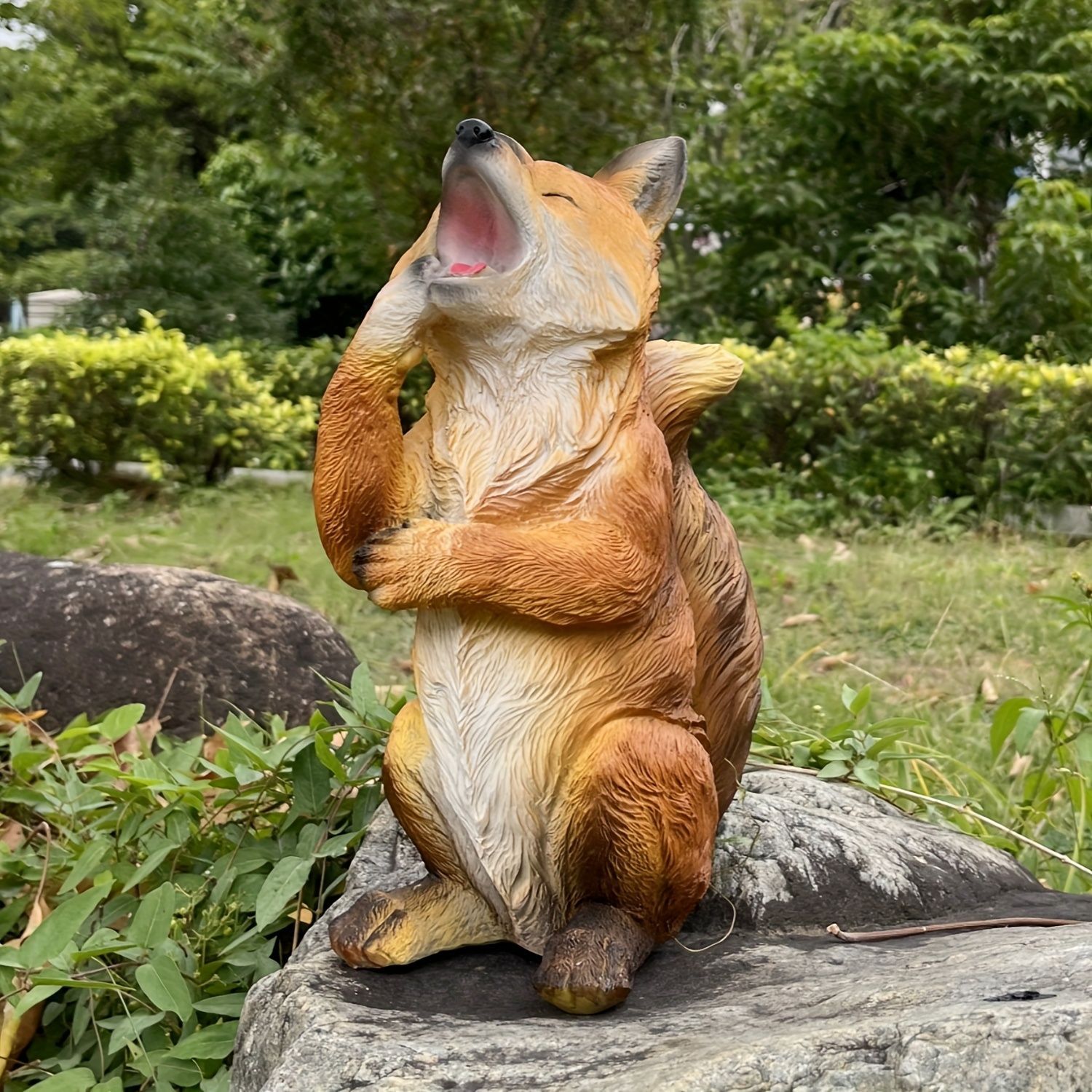 札付き ウスダリンゼアナ 実生 大株 極美 希少 臼田リンゼアナ