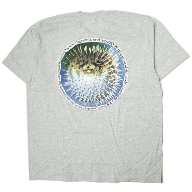 新品 SUPREME シュプリーム 23SS アメリカ製 Blowfish Tee ブローフィッシュTシャツ XL Ash Grey 半袖 Week18 MADE IN USA トップス s18436