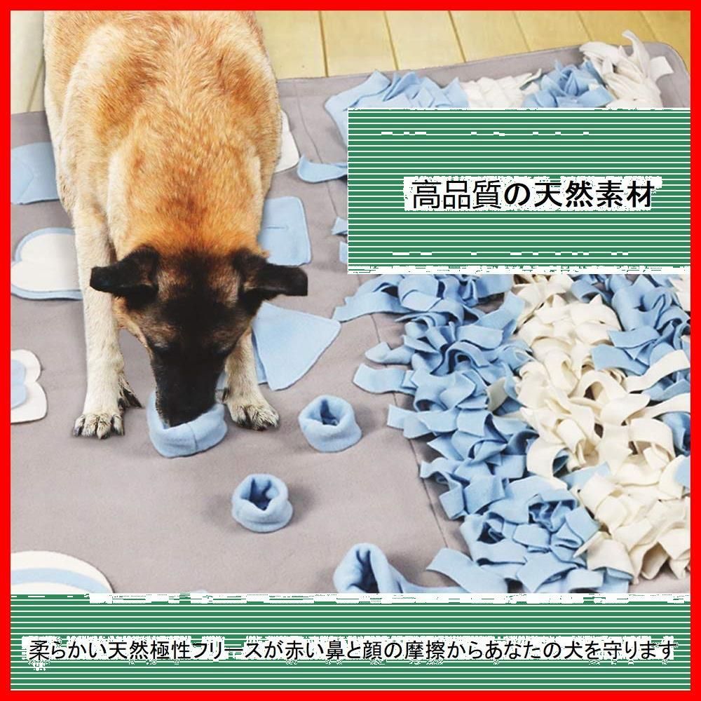 訓練毛布