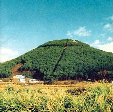 2026年最新】lee 奥田民生の人気アイテム - メルカリ