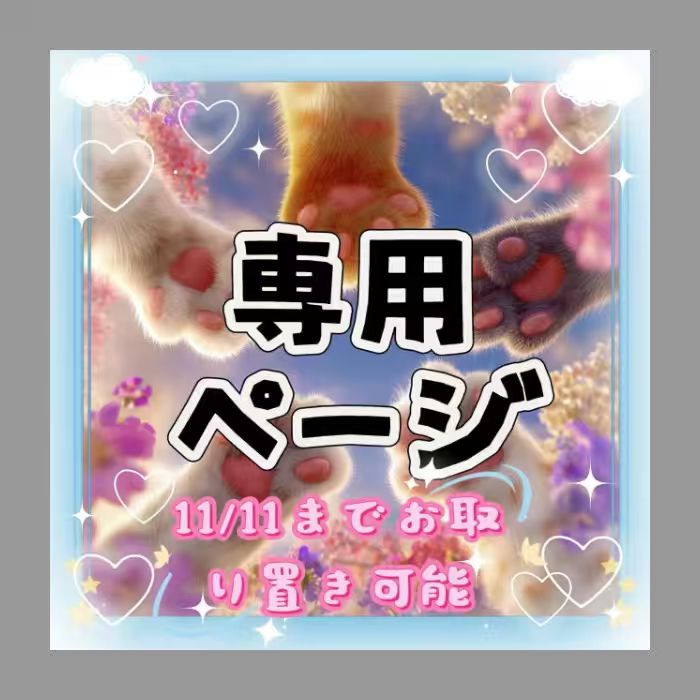 びーた新柄入荷Cページ様専用