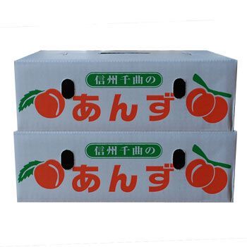クール便 あんず