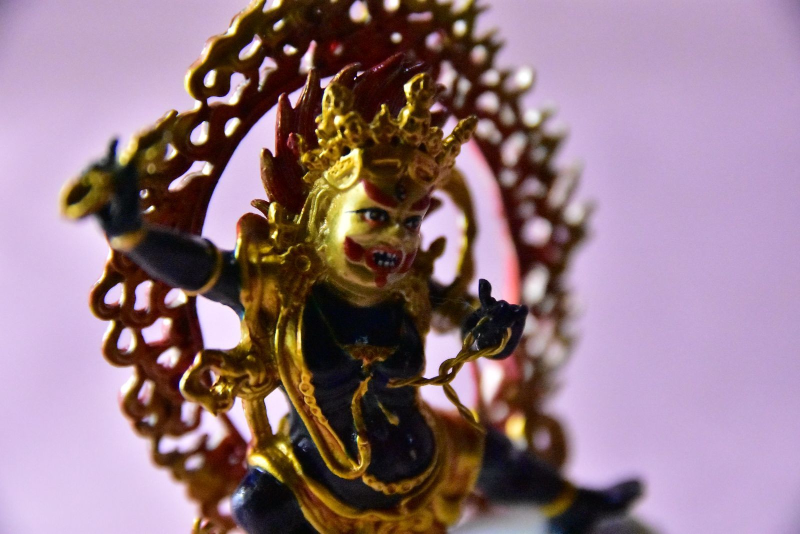 ■イマオ クランプユニット(フックタイプ) CP16016080L(2141030)[送料別途見積り][法人・事業所限定][掲外取寄] 現品販売 常緑樹 オリーブ アルベキーナ 実付き 7号 高さ120cm