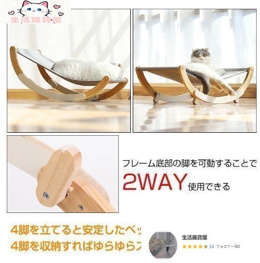 フェレット 日光浴