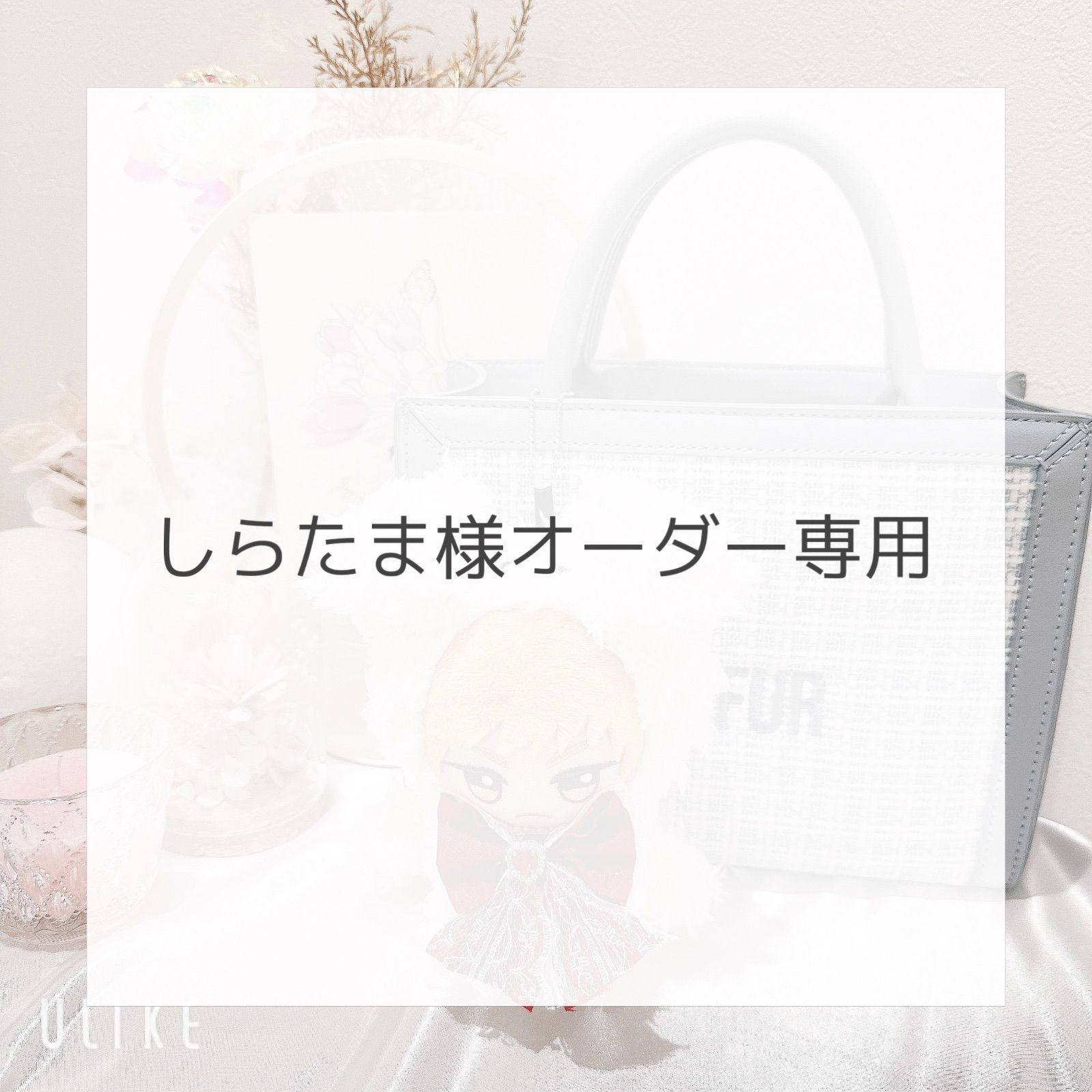 しらたま様オーダー専用】ぬい服 着ぐるみ いぬ キーホルダータイプ 