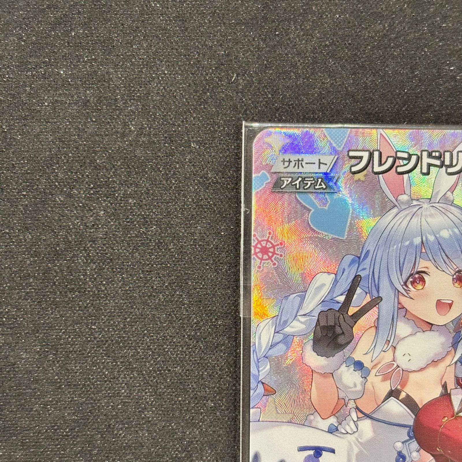 ホロカ フレンドリーパソコン 全国大会 プロモ hBP05-074