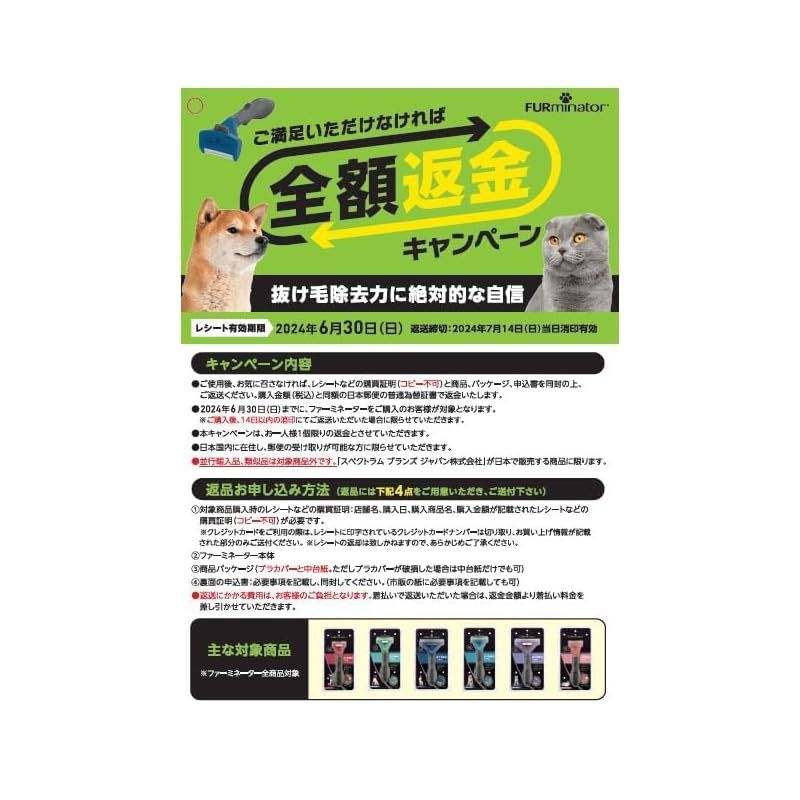 短毛種用