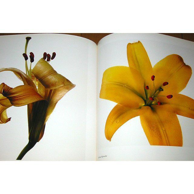 洋書写真集 フラワーズ/アービング・ペン/ FLOWERS/Irving Penn（輸入