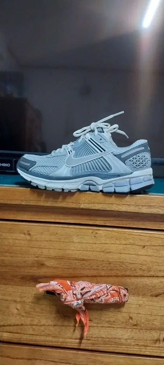 ナイキ ズーム ボメロ5 220