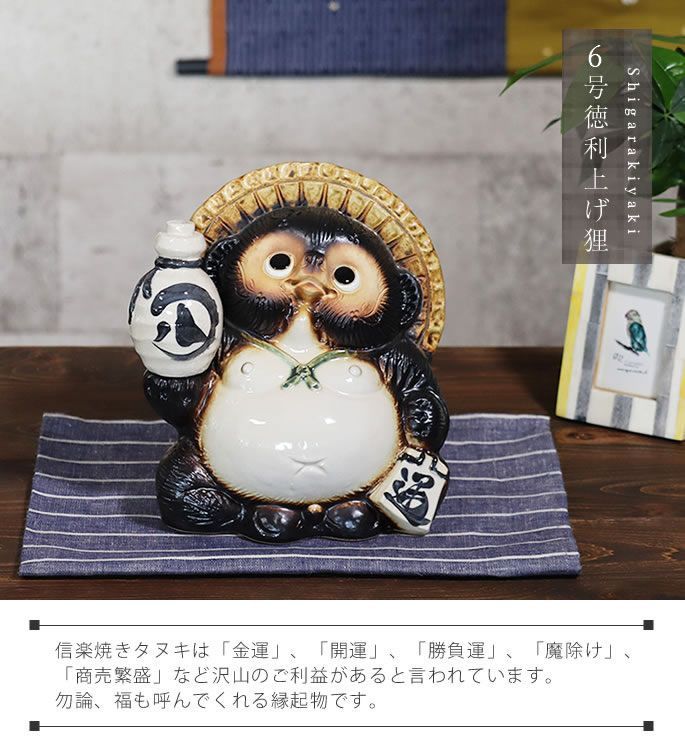 Amazon.co.jp: 信楽焼 たぬき【6号福タヌキ ta-0351】縁起物
