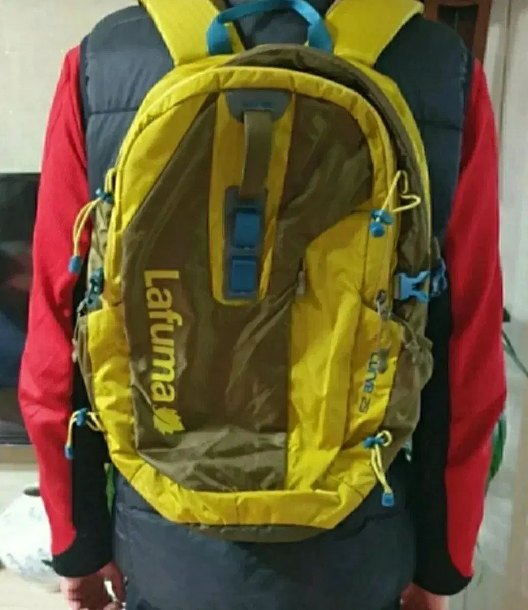 LAFUMA ラフマ 登山バッグ 25L