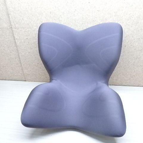 MTG Style PREMIUM スタイル 姿勢ケアシート ブラウン YS-AL18A