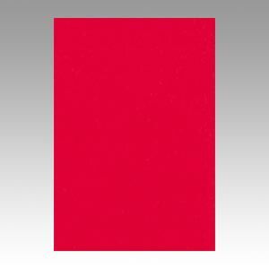まとめ 色画用紙 文運堂 ニューカラーＲ 赤 8NCR-317 4954022683177 1冊 ×10セット