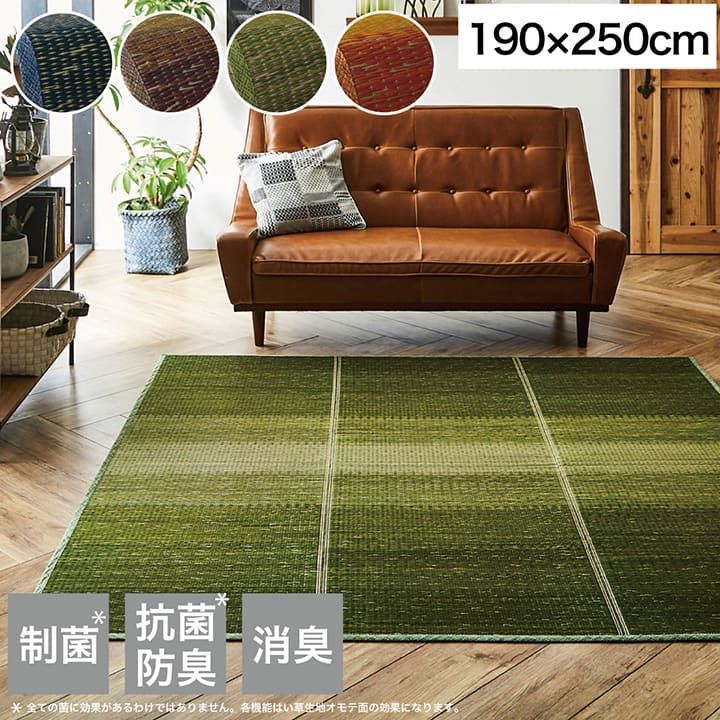 エバニュー EKM041 500 カラーペットマット90×180×5 緑 【法人限定