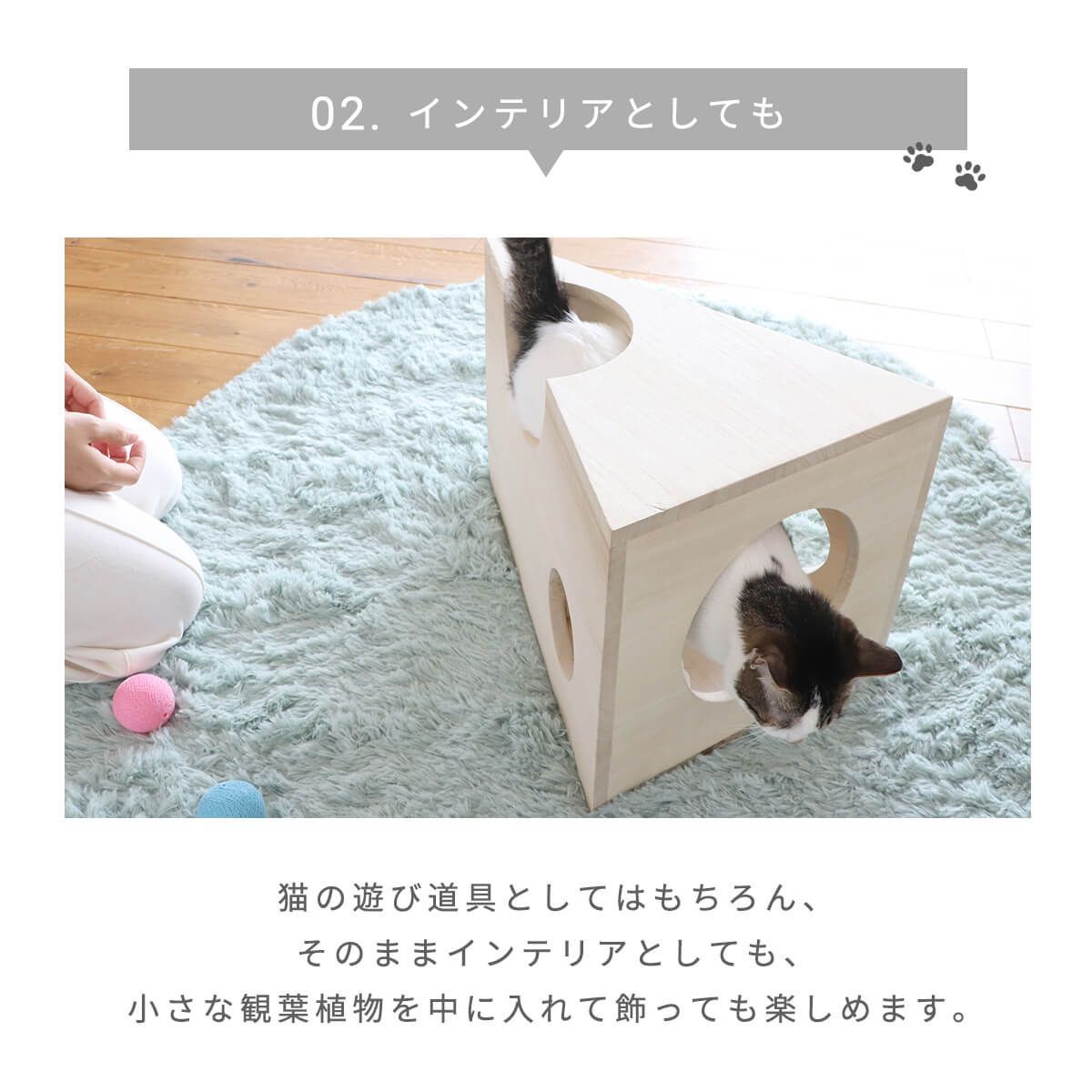 省スペース チーズ