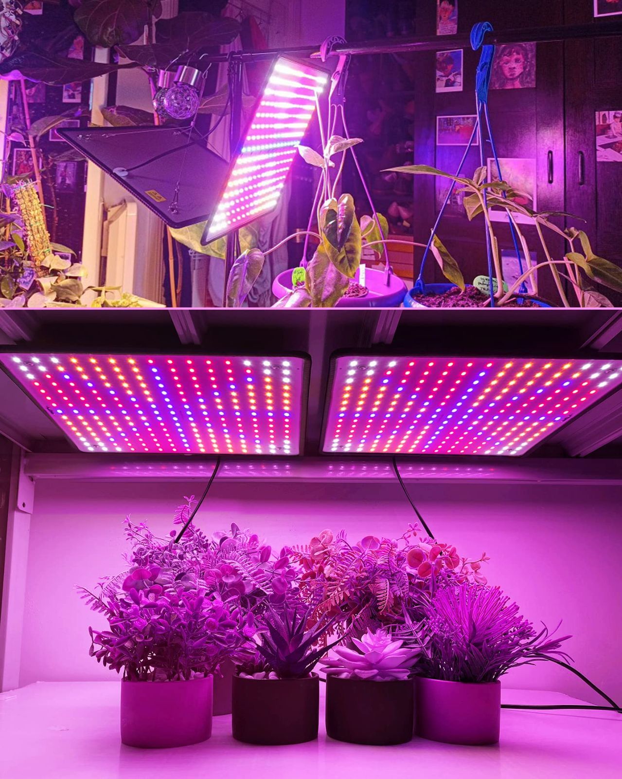 GREENSINDOOR 植物育成ライトLED パネル 400W相当 フルスペクトル 225LED 育苗ledライト 植物育成用ランプ 水耕栽培ライト  室内用ライト 屋内植物用 多肉植物育成 観葉植物 野菜工場 植物栽培工場 家庭菜園 室内園芸 (1) - メルカリ