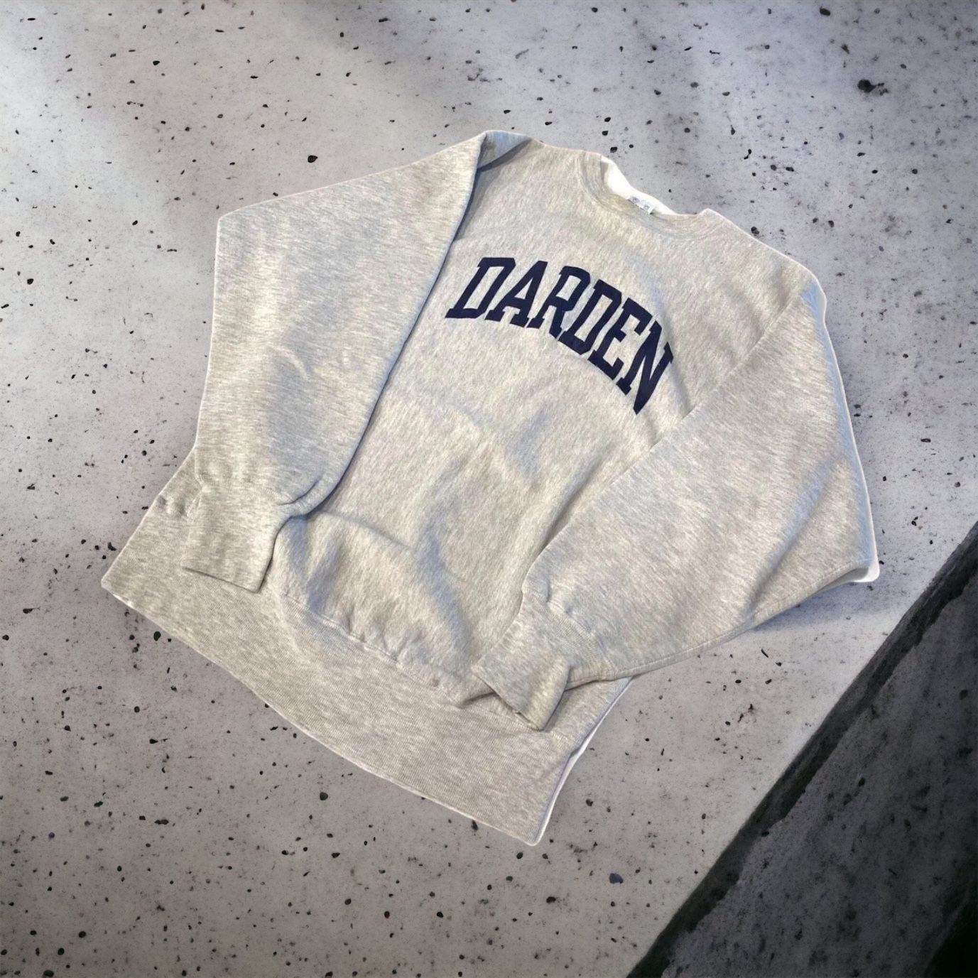 ビッグサイズ】 刺繍タグ 90's チャンピオン Champion DARDEN リバース