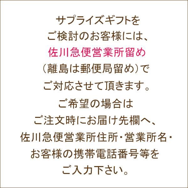 片耳 品番ad-057