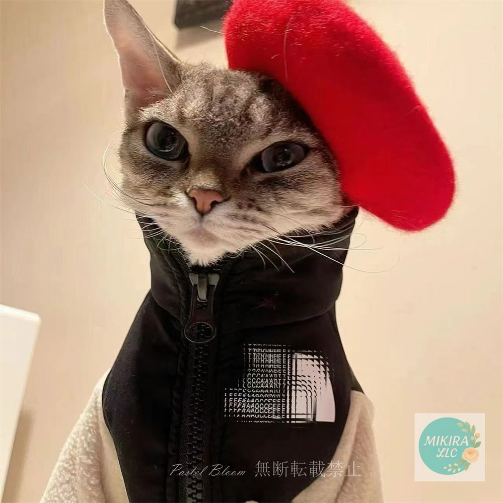 性格は？出身地は？🐈🐾／宇宙からやってきた猫👽🐱と言われるコーニッシュ・レックス。パンチパーマをかけたような巻き毛、逆三角形の小さい顔、コウモリのような耳🦇という個性的な容姿。  アニメ「ドラゴンボール」に登場する 破壊神ビルスのモデルにもなりました ..., image size:999x999