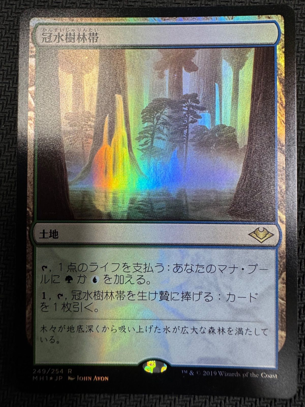 MTG 冠水樹林帯 日本語 foil MH1 モダンホライゾン1 - メルカリ