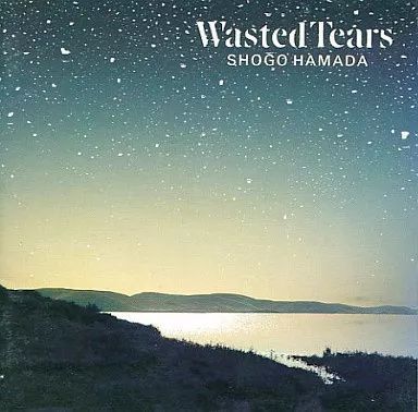 浜田省吾 Wasted Tears LP盤　帯付き　ポストカード無し 中古】WASTED TEARS / 浜田省吾（帯無し） - メルカリ