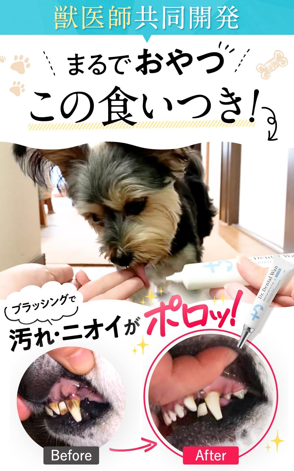 ーDr.Dental Wanー【未開封】犬用口腔ジェル30g×4本 歯ブラシ他 Amazon.co.jp: 【ドクターデンタルワン】犬 歯磨き 犬 歯磨き